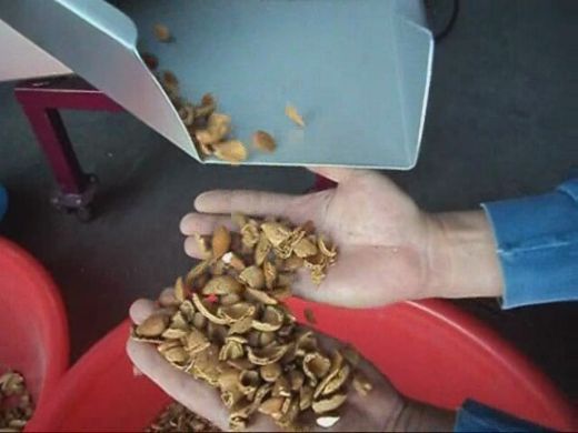 Badem Nasıl Kırılır?